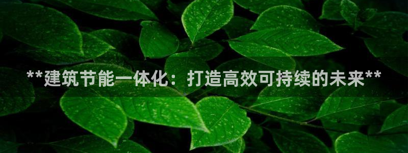 e尊国际-可可计划：**建筑节能一体化：打造高效可持续的未来**