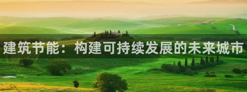 e尊国际平台