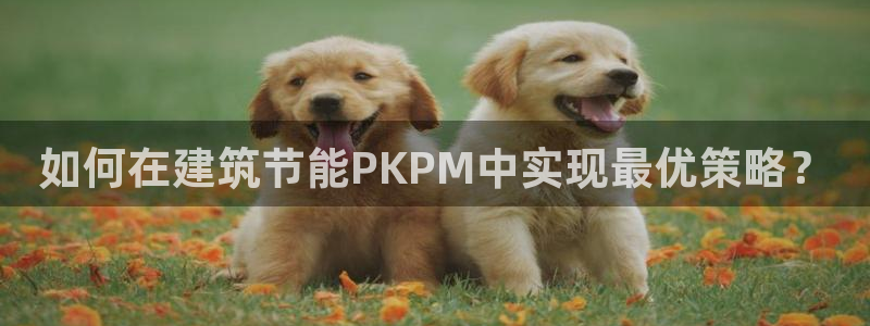 e尊国际平台：如何在建筑节能PKPM中实现最优策略？