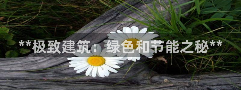 e尊国际客户端：**极致建筑：绿色和节能之秘**
