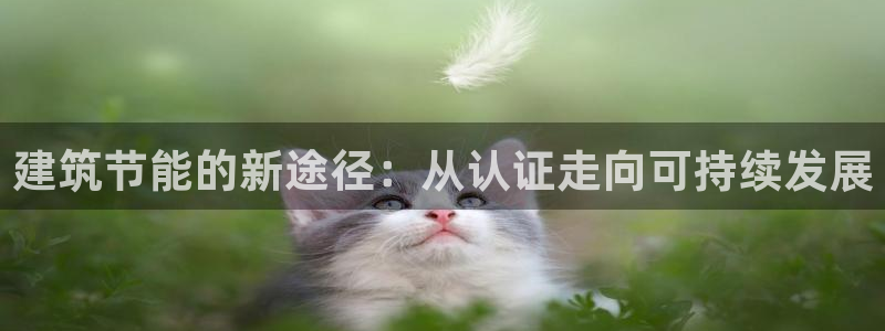 e尊国际7779：建筑节能的新途径：从认证走向可持续发展