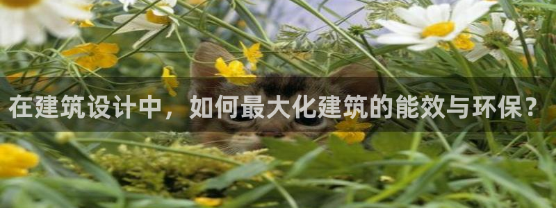 e尊国际娱乐官网地址