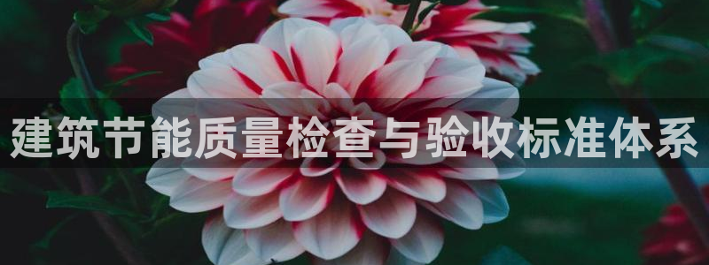 e尊国际官网·网址：建筑节能质量检查与验收标准体系