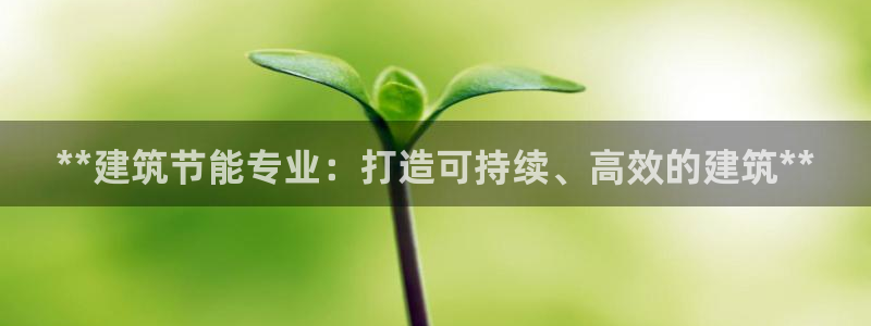 e尊国际的手机登录网站：**建筑节能专业：打造可持续、高效的建筑**
