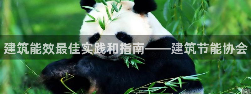 e尊国际官方网站：建筑能效最佳实践和指南——建筑节能协会