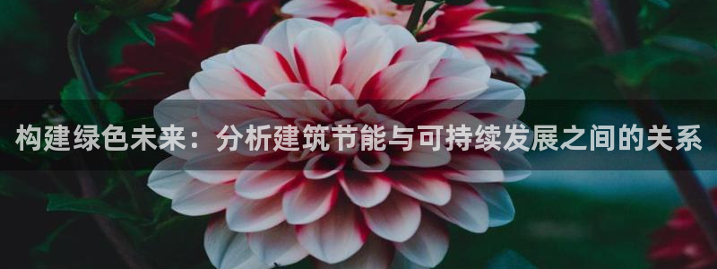 e尊国际是个黑网