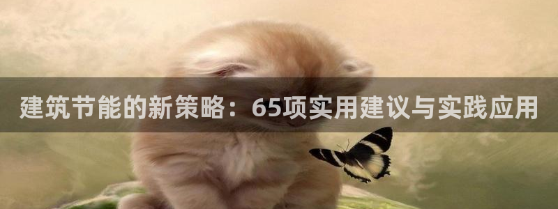 e尊国际地址：建筑节能的新策略：65项实用建议与实践应用